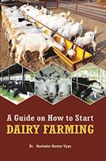 Guide How to Start Dairy Farming