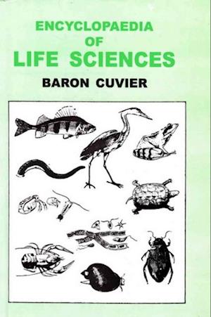 Encyclopaedia of Life Sciences (Class Reptilia)