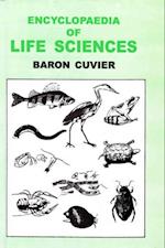 Encyclopaedia of Life Sciences (Class Reptilia)