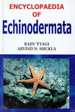 Encyclopaedia of Echinodermata (Comparative Anatomy Of Echinodermata)