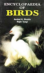 Encyclopaedia of Birds