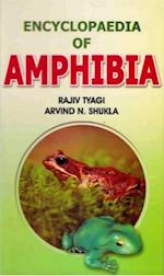Encyclopaedia of Amphibia (Amphibia of Past and Present)