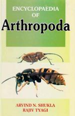 Encyclopaedia of Arthropoda (Origin And Evolution Of Arthropods)