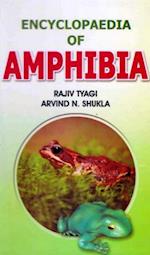 Encyclopaedia of Amphibia (Regeneration in Amphibia)