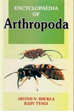 Encyclopaedia of Arthropoda (Developmental Biology Arthropods)