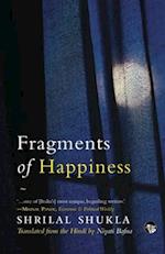 Fragments of Happiness 