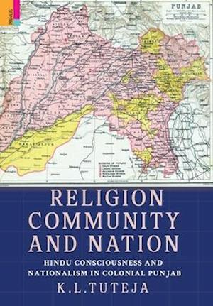 Religion, Community and Nation: Hindu Consciousness and Nationalism in Colonial Punjab: Hindu Consciousness and Nationalism in Colonial Punjab