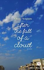 After the Fall of a Cloud : poems 