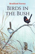 Birds in the Bush 