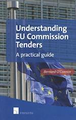 Understanding EU Commission Tenders