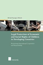 Legal Protection of Social and Economic Rights of Children in Developing Countries