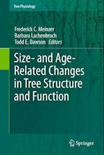 Size- and Age-Related Changes in Tree Structure and Function