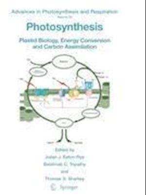 Photosynthesis