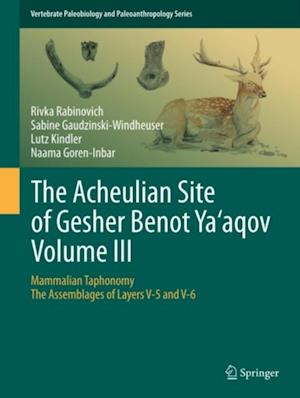 Acheulian Site of Gesher Benot  Ya'aqov  Volume III