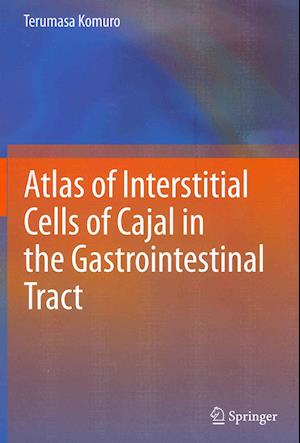 Atlas of Interstitial Cells of Cajal in the Gastrointestinal Tract