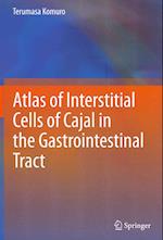 Atlas of Interstitial Cells of Cajal in the Gastrointestinal Tract
