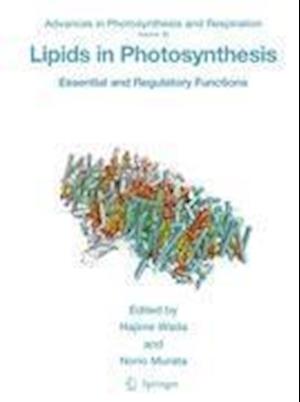 Lipids in Photosynthesis