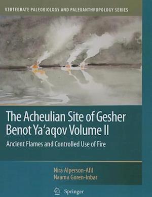 The Acheulian Site of Gesher Benot Ya’aqov Volume II