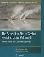 The Acheulian Site of Gesher Benot Ya’aqov Volume II