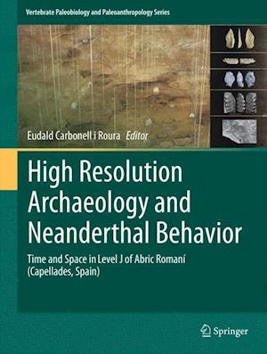 High Resolution Archaeology and Neanderthal Behavior