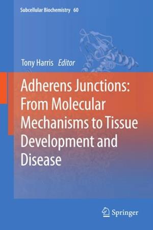 Adherens Junctions: from Molecular Mechanisms to Tissue Development and Disease