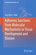 Adherens Junctions: from Molecular Mechanisms to Tissue Development and Disease