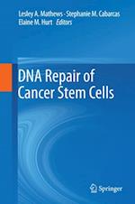 DNA Repair of Cancer Stem Cells