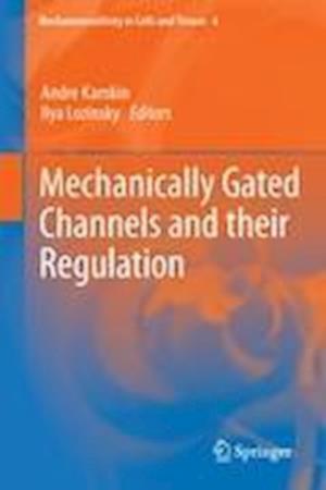 Mechanically Gated Channels and their Regulation