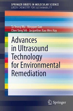 Advances in Ultrasound Technology for Environmental Remediation