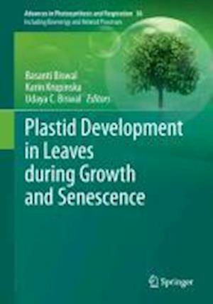 Plastid Development in Leaves during Growth and Senescence