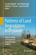 Patterns of Land Degradation in Drylands