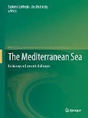 The Mediterranean Sea