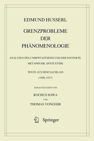 Grenzprobleme der Phänomenologie