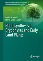 Photosynthesis in Bryophytes and Early Land Plants