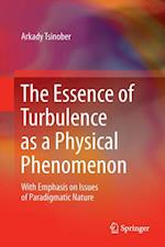 Essence of Turbulence as a Physical Phenomenon