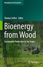 Bioenergy from Wood