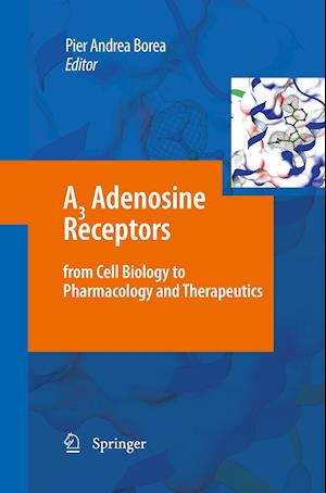 A3 Adenosine Receptors from Cell Biology to Pharmacology and Therapeutics