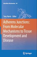Adherens Junctions: from Molecular Mechanisms to Tissue Development and Disease