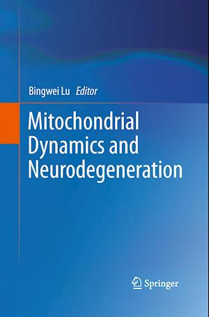 Mitochondrial Dynamics and Neurodegeneration