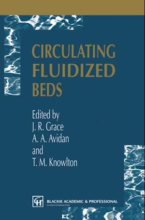 Circulating Fluidized Beds