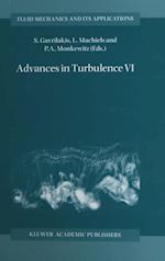 Advances in Turbulence VI