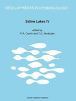 Saline Lakes