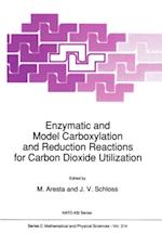 Enzymatic and Model Carboxylation and Reduction Reactions for Carbon Dioxide Utilization