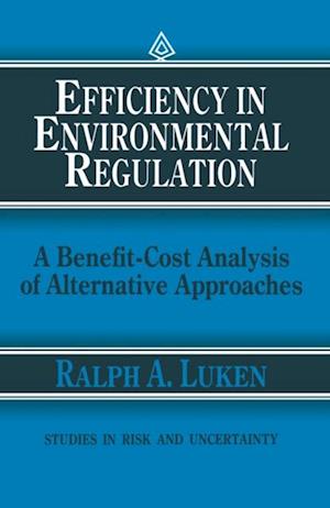 Efficiency in Environmental Regulation