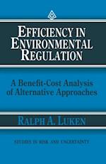 Efficiency in Environmental Regulation