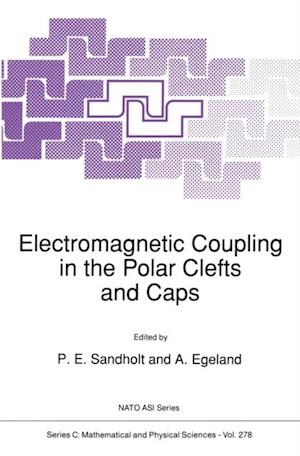 Electromagnetic Coupling in the Polar Clefts and Caps