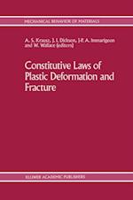 Constitutive Laws of Plastic Deformation and Fracture