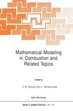 Mathematical Modeling in Combustion and Related Topics