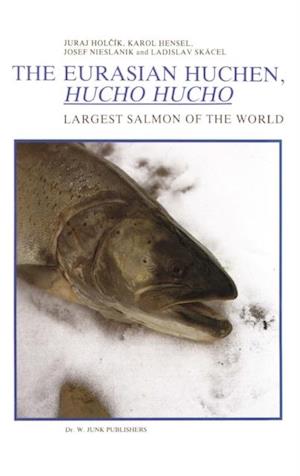 Eurasian Huchen, Hucho hucho