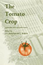 Tomato Crop